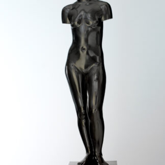 Eja Siepman van den Berg - Venus - Kunstadvies Hanneke Janssen
