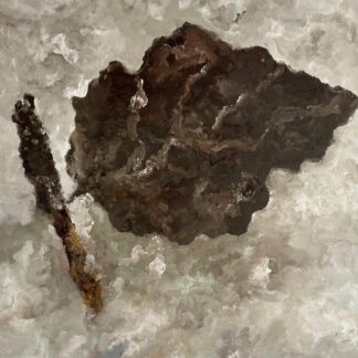 Armando - Das Blatt 2009 - Kunstadvies Hanneke Janssen