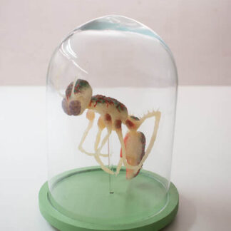 André Cardol - Sillycon 33 - Kunstadvies Hanneke Janssen