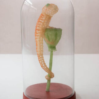 André Cardol - Sillycon 35 - Kunstadvies Hanneke Janssen